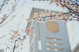 4、念一念（1）